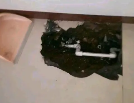 白碱滩卫生间测漏水多少钱